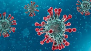 corona Flirt Varient