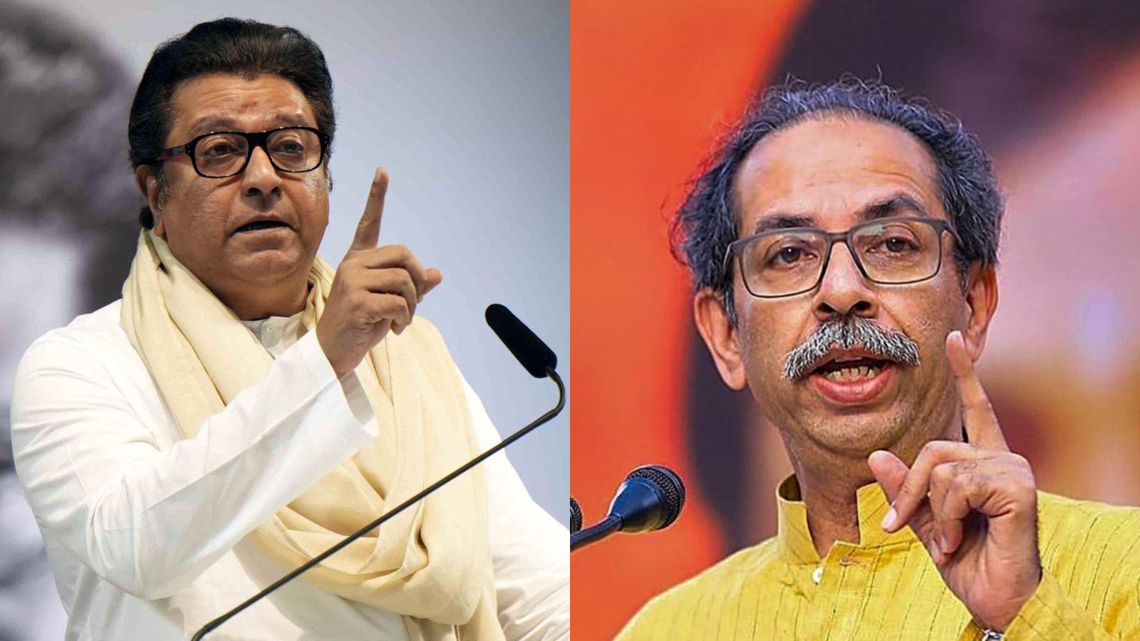uddhav raj thackeray together
